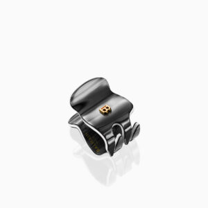 LE Locks of Legacy Pinces à Cheveux XS Midnight Black